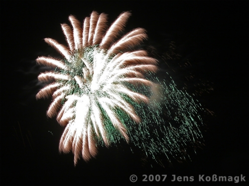 Feuerwerk - Pyronale 2007 - 28