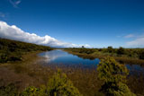 Ship Creek, Haast, Neuseeland Fotokalender Mai 2009