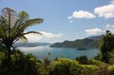 Marlborough Sounds, Neuseeland Fotokalender Juli 2009