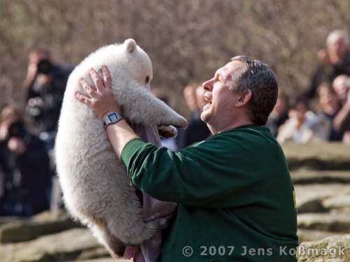 Knut 10