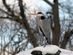 Besuche im Berliner Zoo