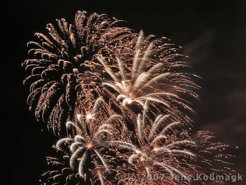 Feuerwerk - Pyronale 2007 - 08