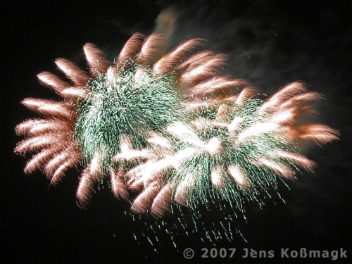 Feuerwerk - Pyronale 2007 - 29